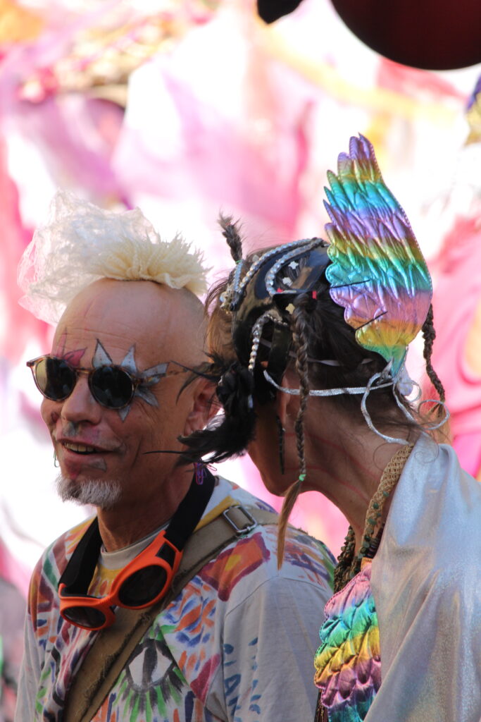 Photo du carnaval de Pont-en-Royans 2026 en Isère, montrant une scène de fête avec des participants costumés dans une ambiance conviviale.