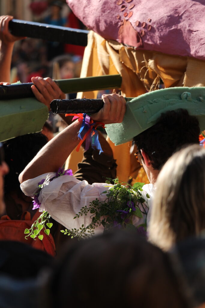 Photo du carnaval de Pont-en-Royans 2026 en Isère, montrant une scène de fête avec des participants costumés dans une ambiance conviviale.