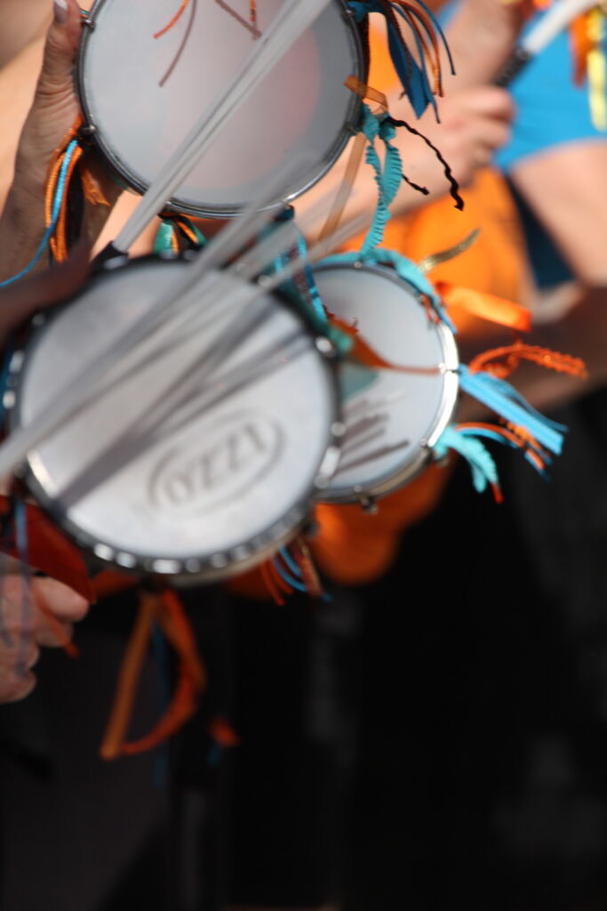 Photo du carnaval de Pont-en-Royans 2026 en Isère, montrant une scène de fête avec des participants costumés dans une ambiance conviviale.