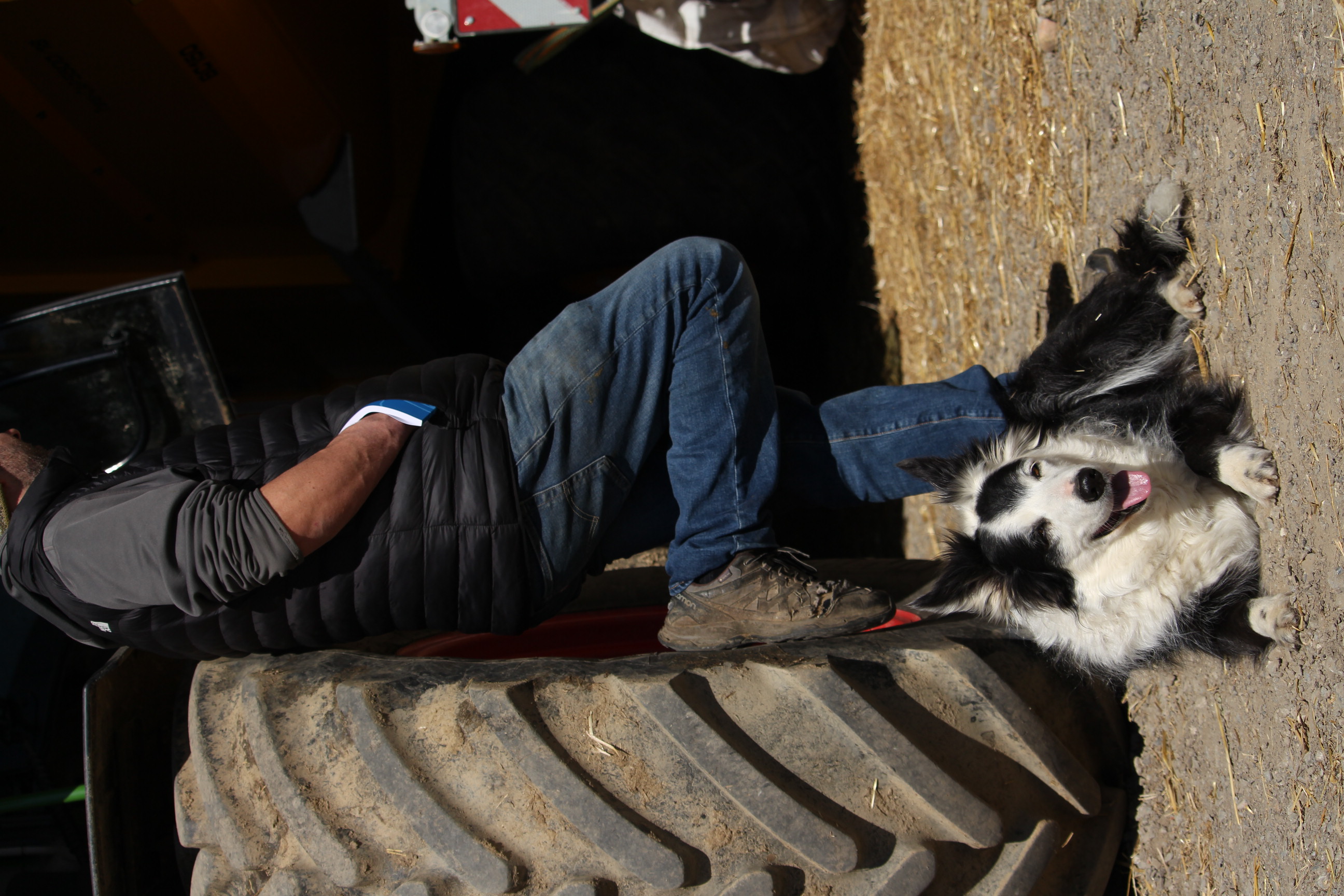 Reportage photo en immersion dans une ferme, capturant le quotidien et l’ambiance du lieu.