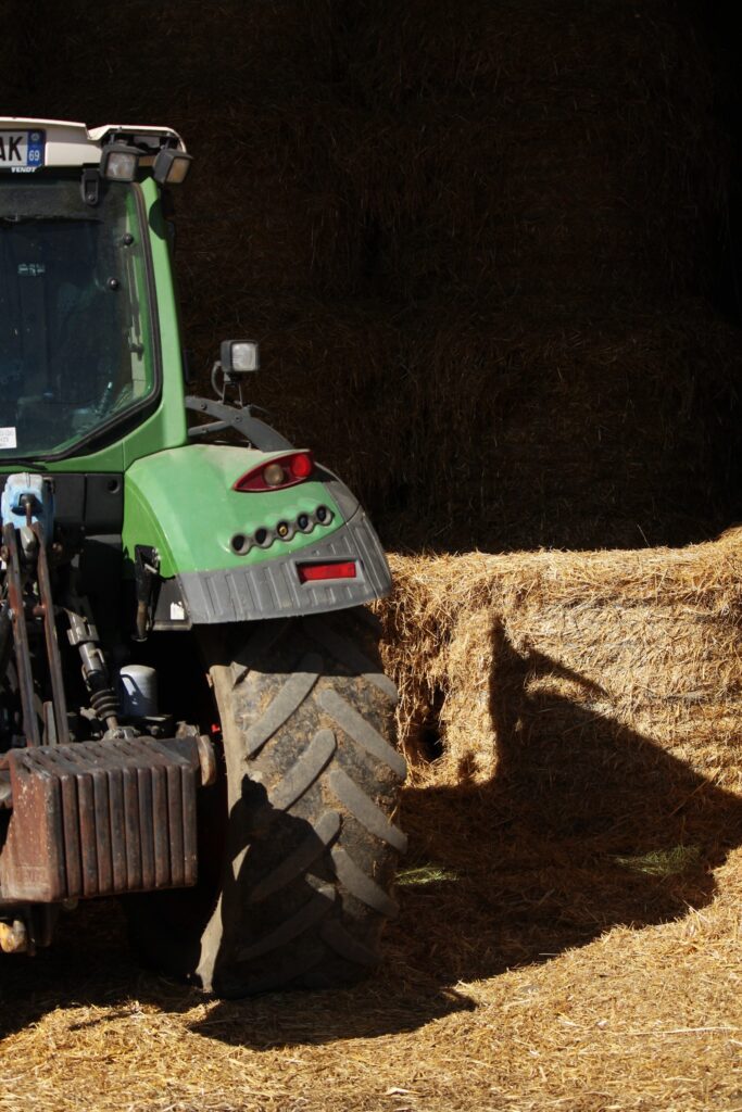 Reportage photo en immersion dans une ferme, capturant le quotidien et l’ambiance du lieu.